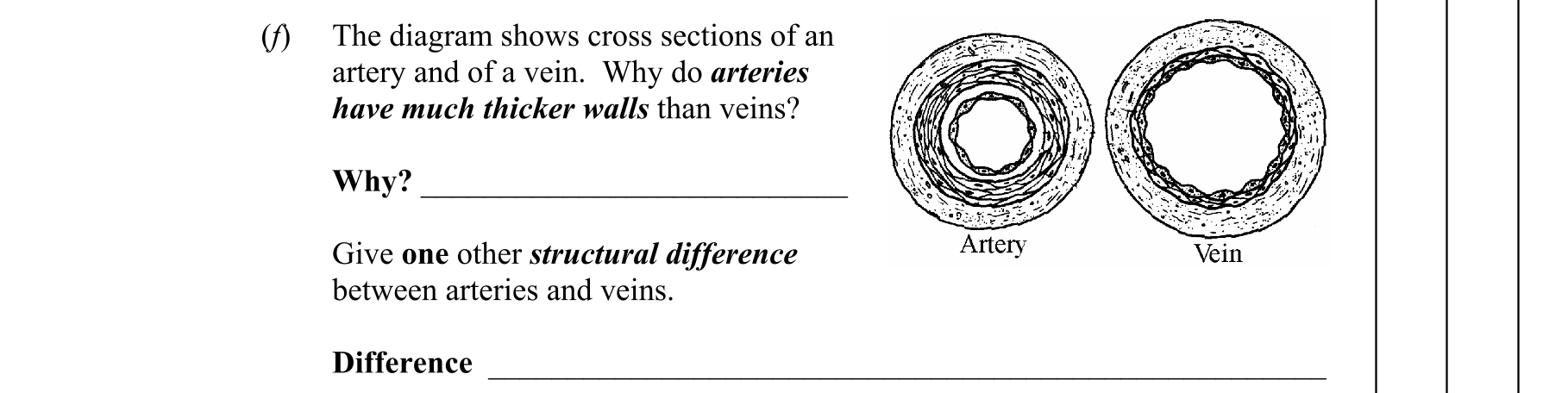 Question 91caaaac-ef8f-40d7-8a0c-f18a2bdb7ae1