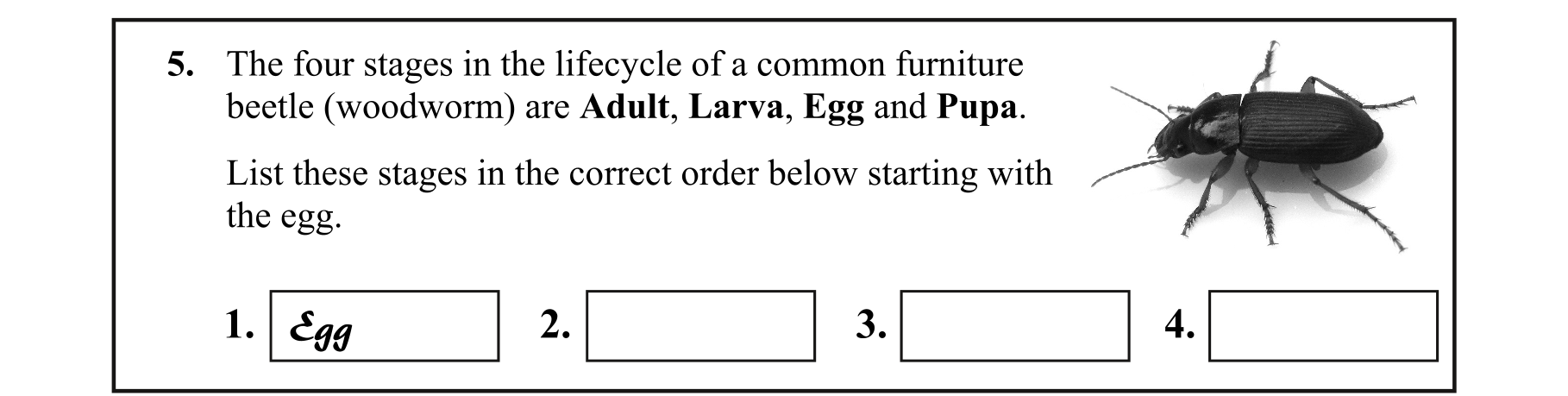 Question 6dde5787-b7df-4892-8d70-77905c6a6768