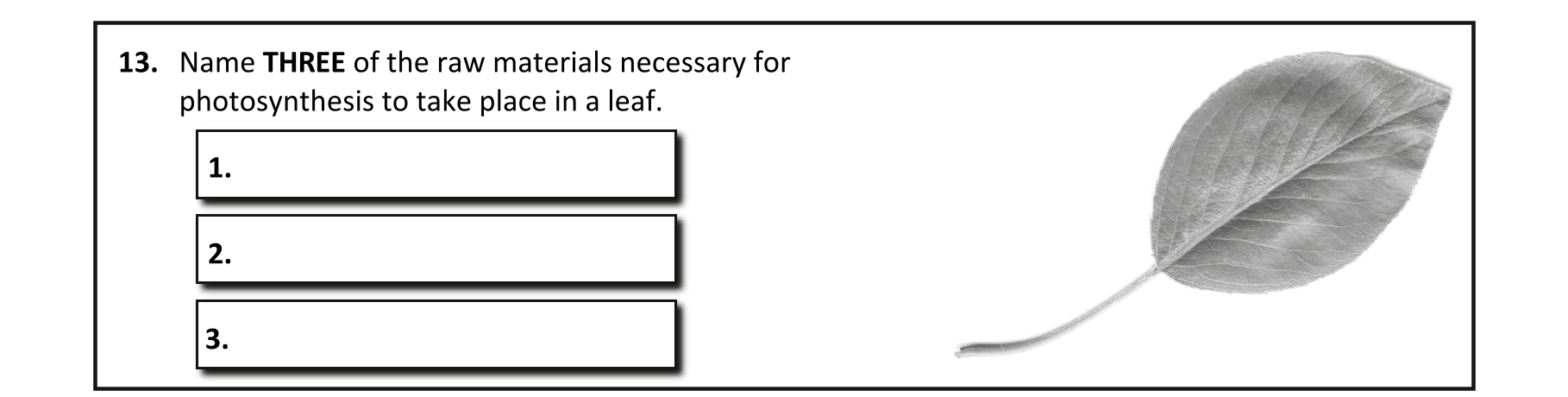 Question a1d4b2c8-ce1a-4c4c-857b-22071e2ec7c4