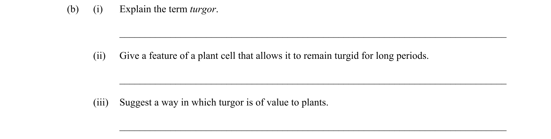 Question 91944e7a-43de-43b8-80b9-ea5325ef573d