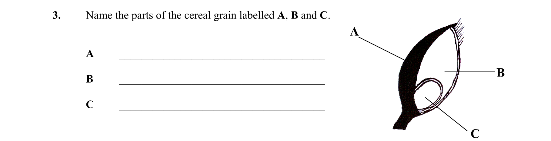 Question dbe6af72-f3fc-4c58-9da2-fd1e77c01280
