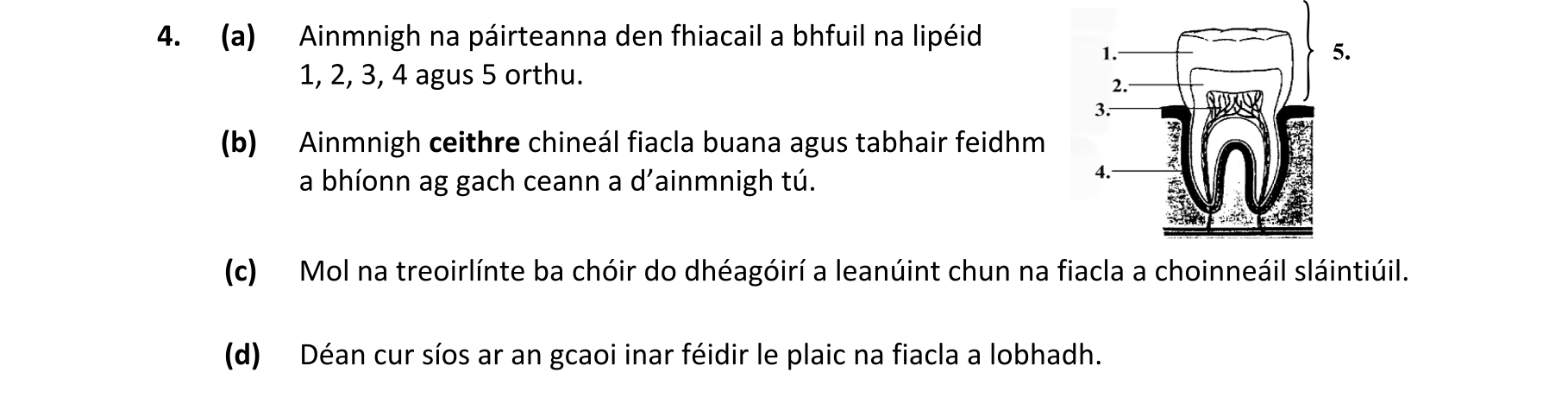 Question 80a6317d-96bb-44c7-a10a-f3ae1a1713f1