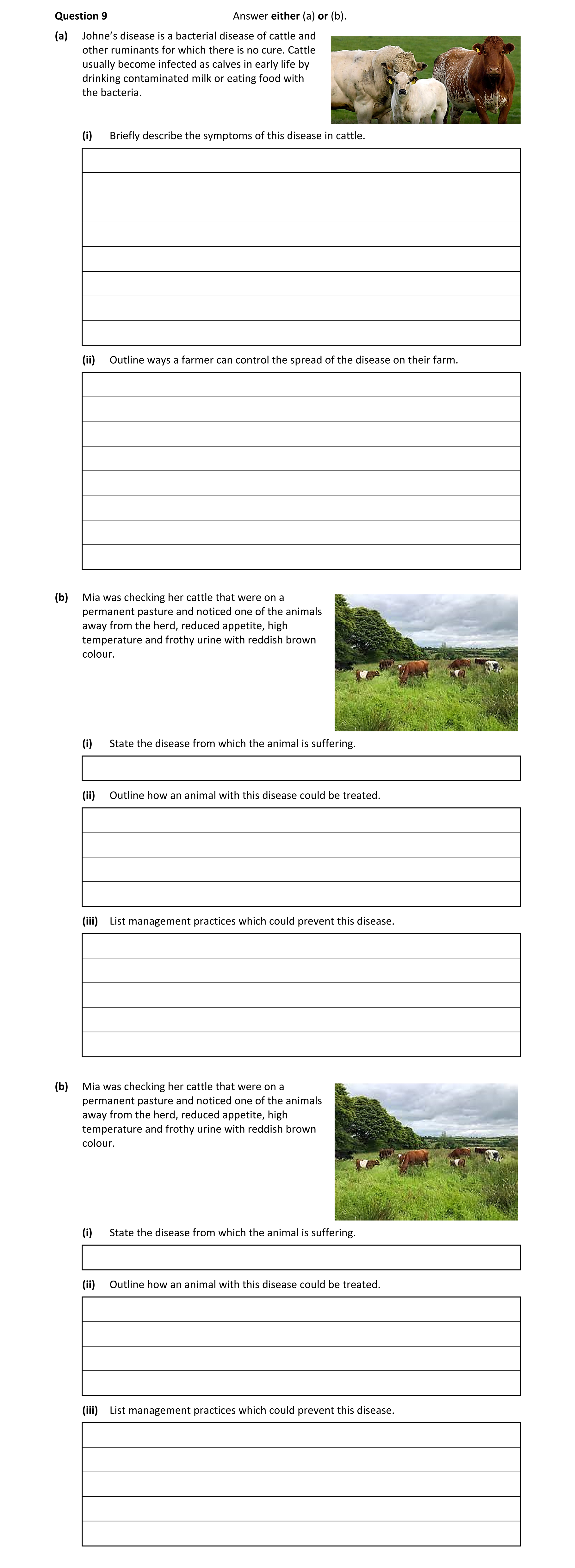 Question 8ed0558f-2f25-479f-b02d-27534416a69a