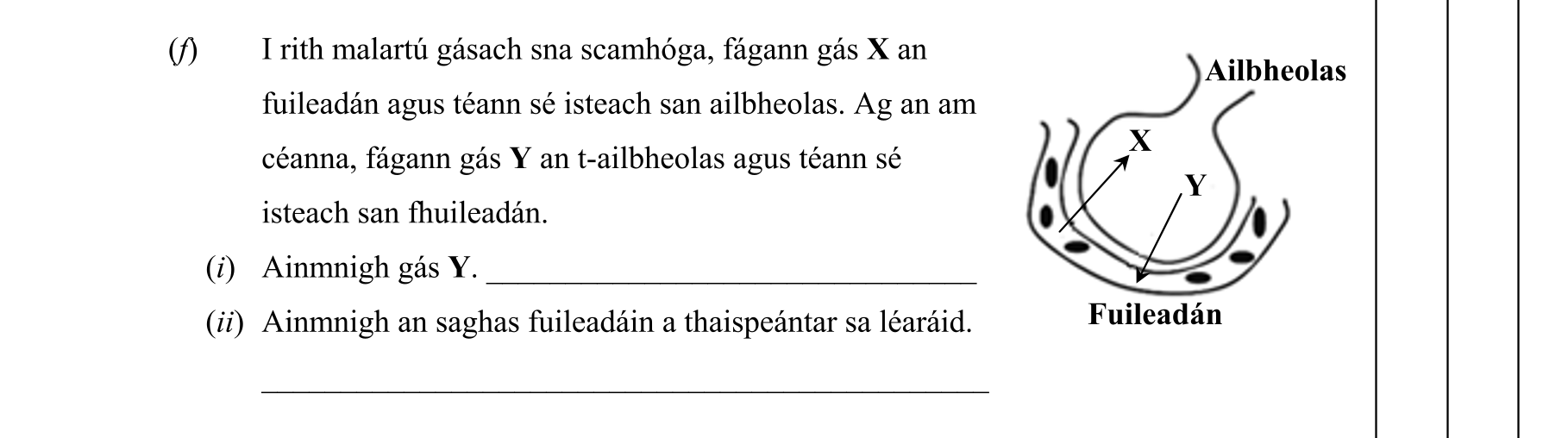 Question fc3b1be7-acc8-4724-94f5-04823689d33d