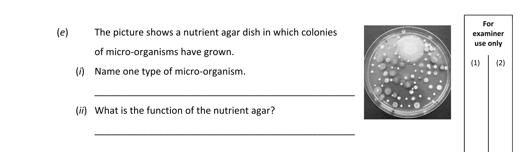 Question f3febe17-8a13-4045-8158-99feacc2aa5c