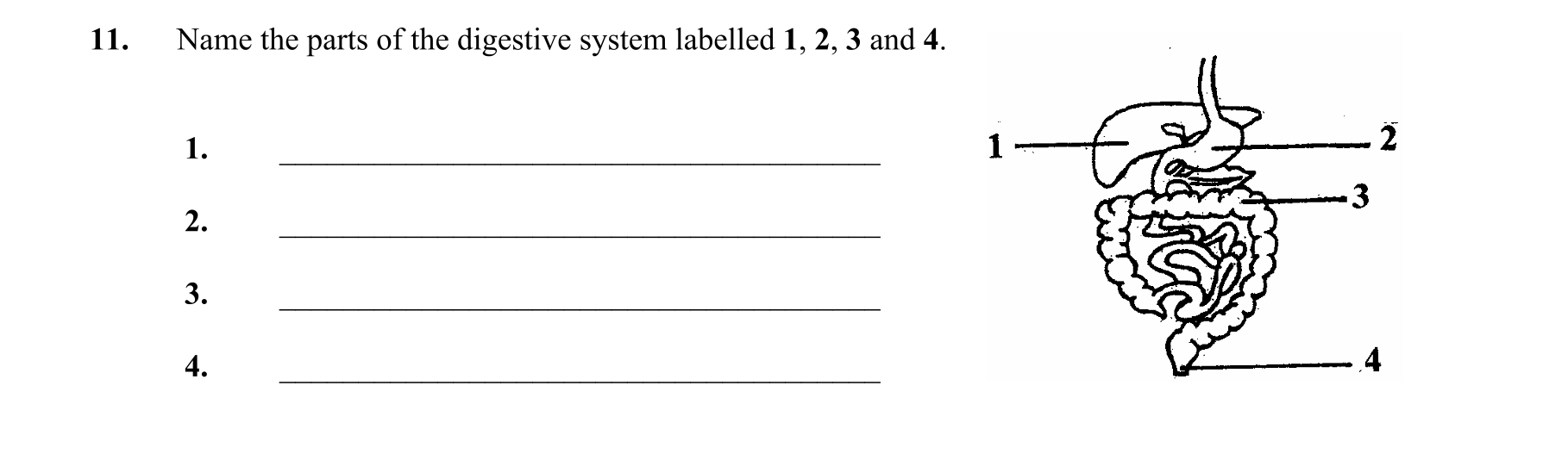 Question c42ac9c3-341d-4bbe-be93-773245727527
