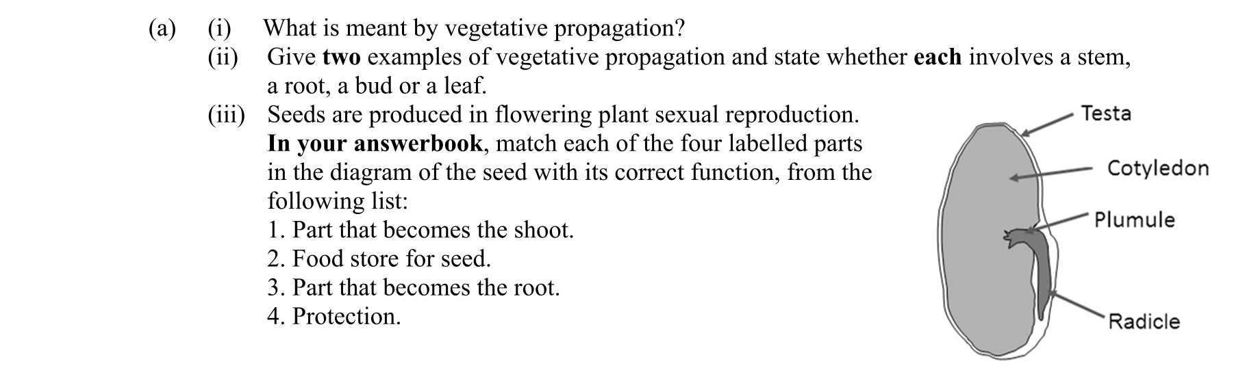 Question 562c491a-7540-47c8-a43a-4385288445f8