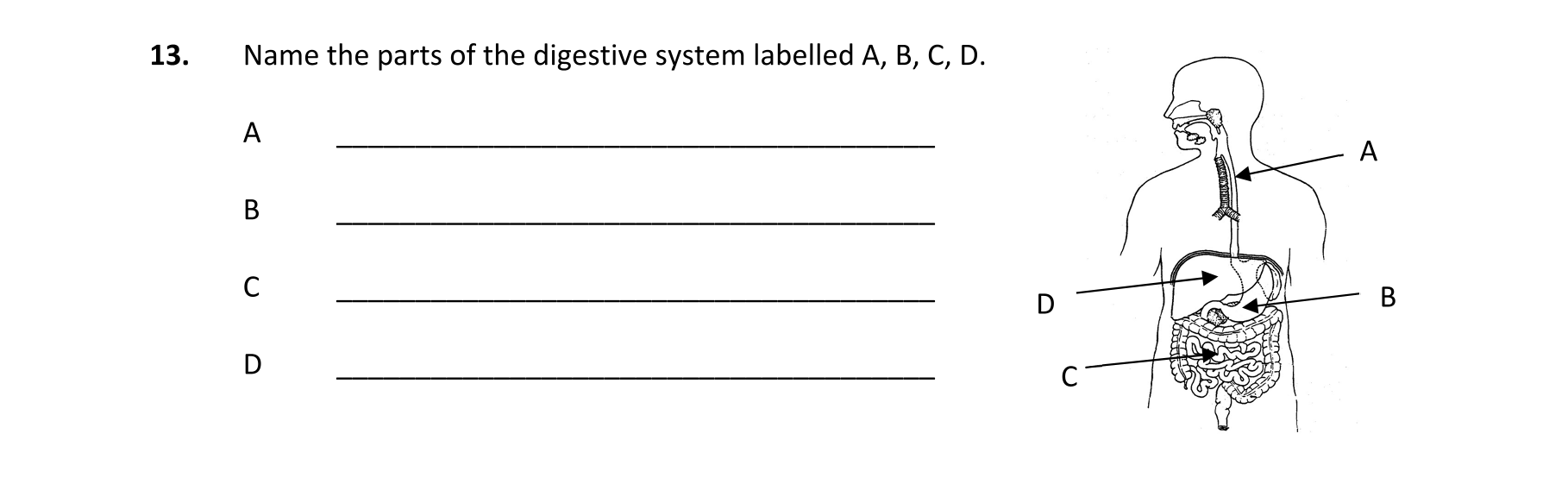 Question 79f9892f-509a-40ef-861a-fa938c2f2bb5