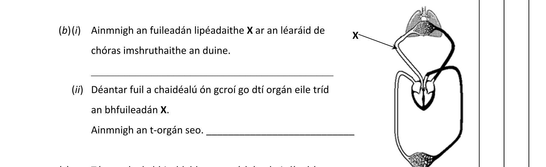 Question 64c33a3d-f825-4dcb-9373-e55c81c59219