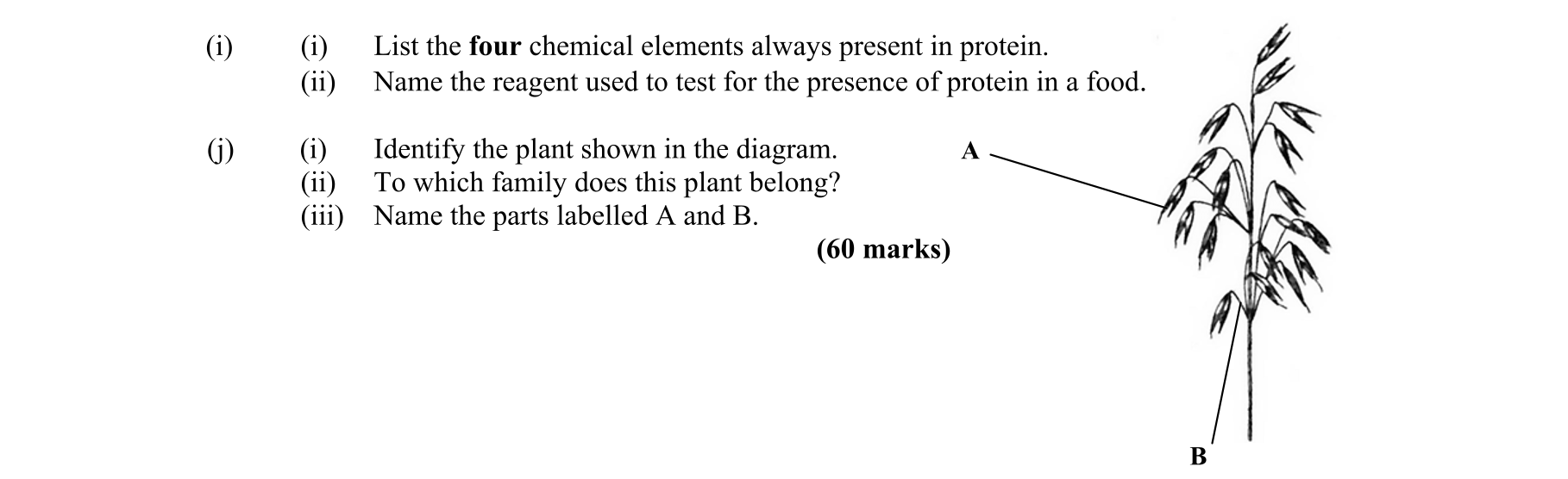 Question 95b2d0cd-e32e-4e78-8244-6d49827432f6