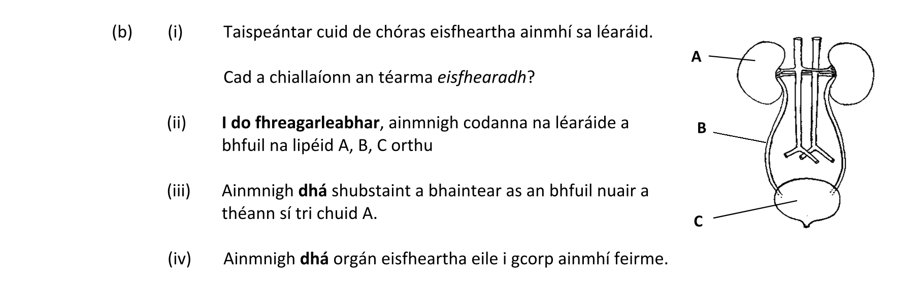 Question a0075e3e-b9e1-43d1-a07d-2a17920be276