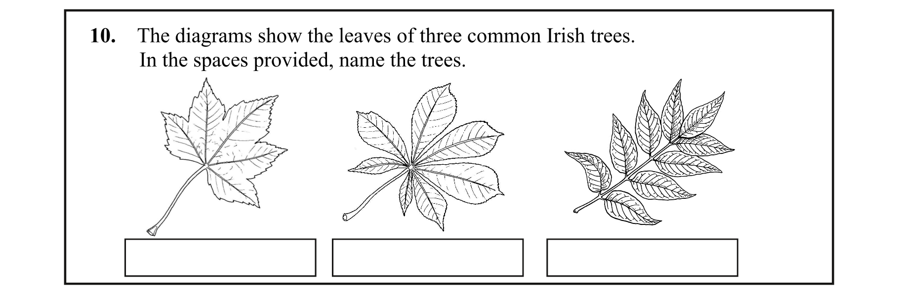 Question 48f19992-e1c0-4a08-8e12-2fa57eb4a22f
