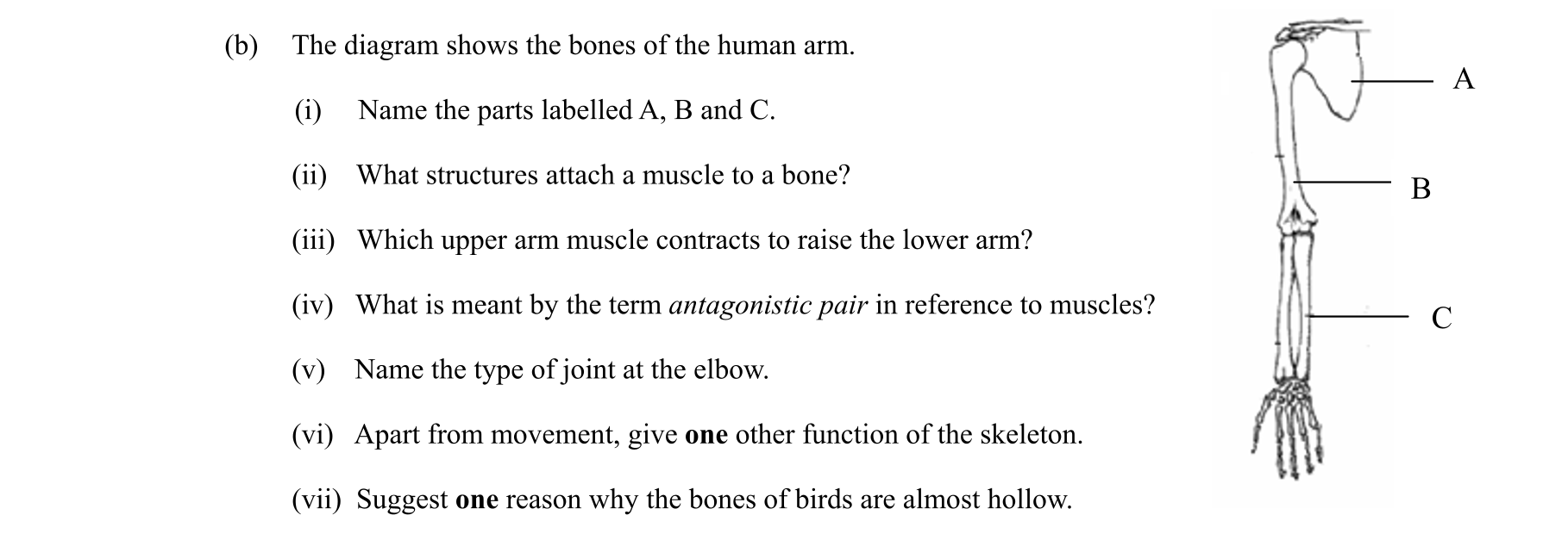 Question 73f8921b-7fe4-4b78-a302-e22739c16dd8