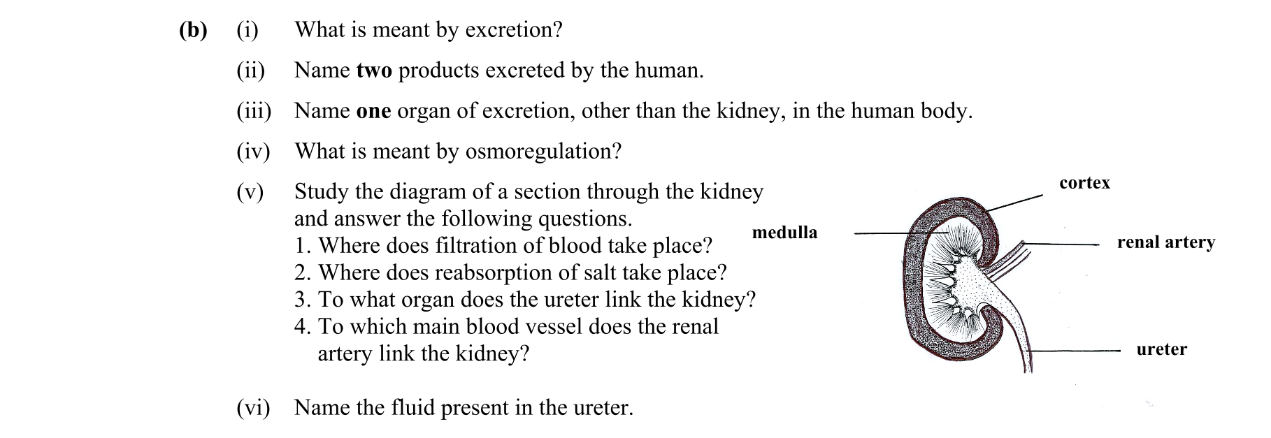 Question 7d4da7c7-7983-463d-ad65-bdd0b07fc173