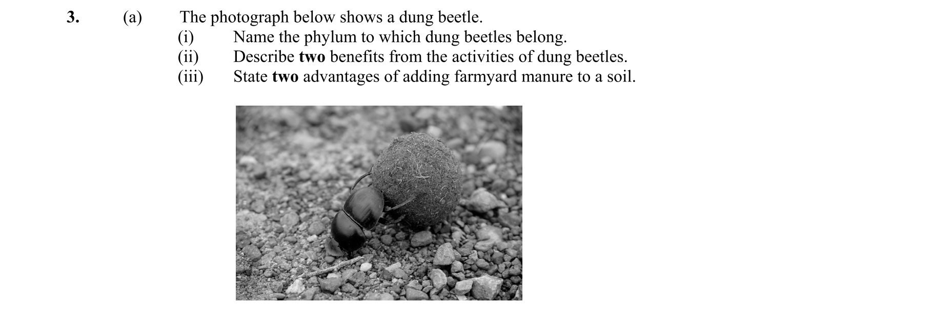 Question c79df744-71fb-4439-a21e-be827100cabf