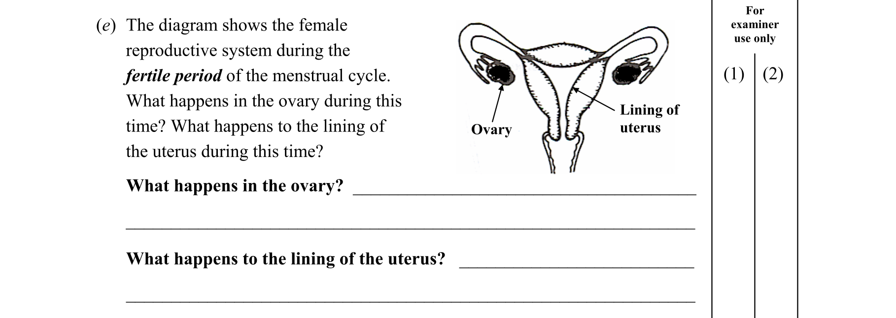 Question 4cd49433-a772-4a7a-ba3e-b0b5ae3ef669