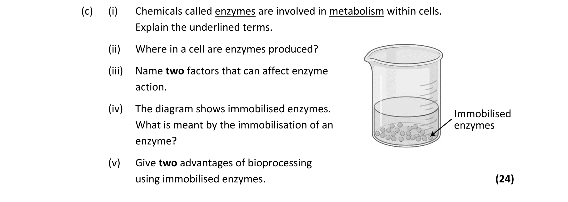 Question 70362365-f5e3-42ec-ab86-571630244830