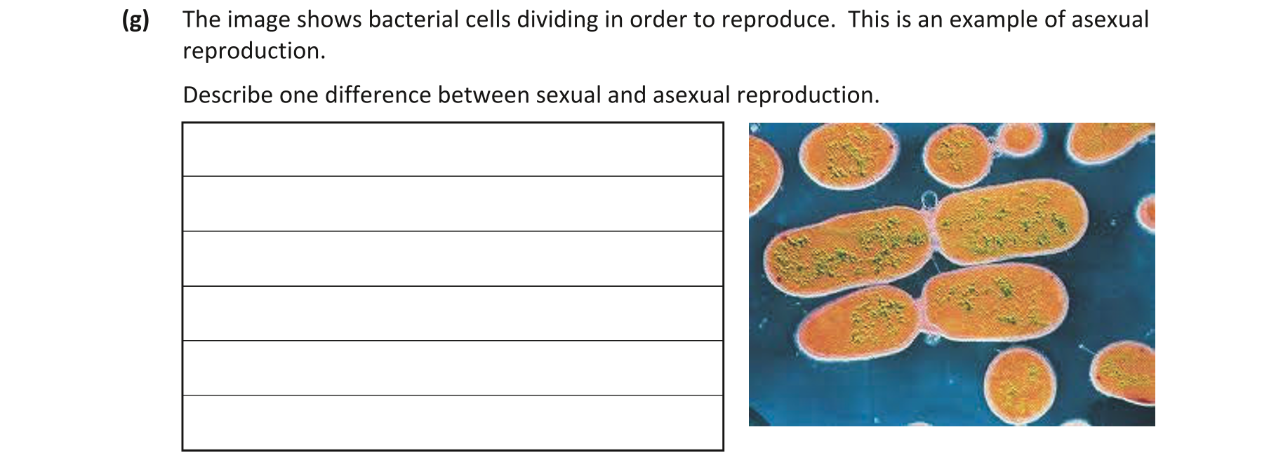 Question 24fc5ea3-28d0-4537-aa60-8a402f39bff1