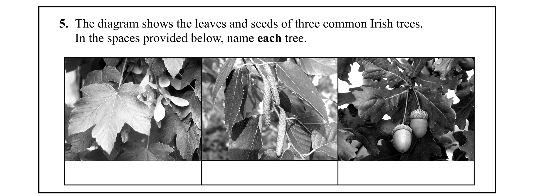 Question 7e5331d9-bee0-479f-9d70-a286d304812d