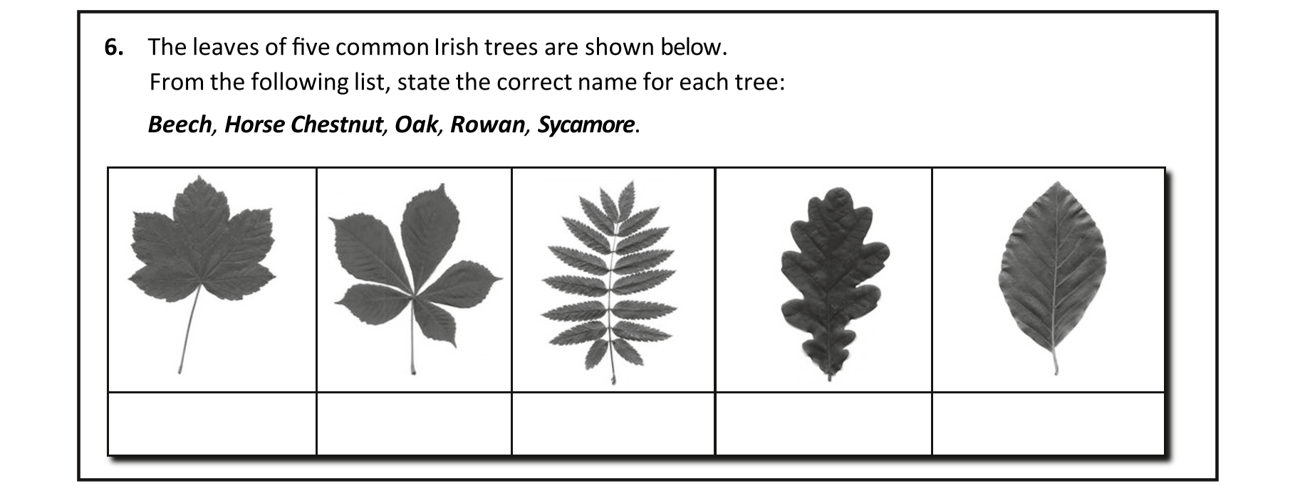 Question 16a7a3a6-e1ea-4fb2-8255-618d1c01892a