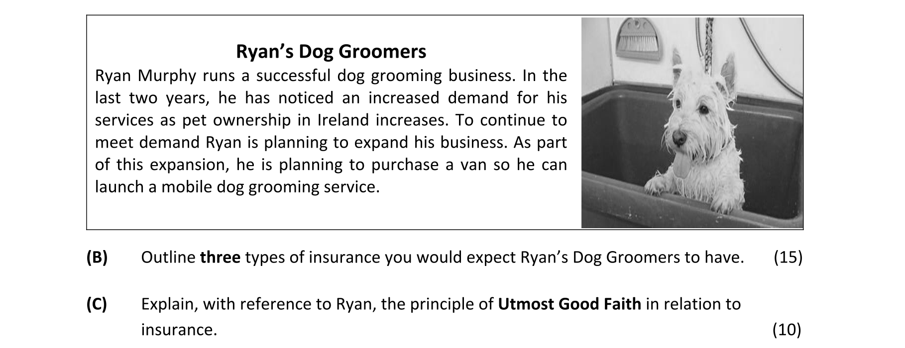 Question ab7a54b5-26ea-44de-bee9-aea5f7f22ed1