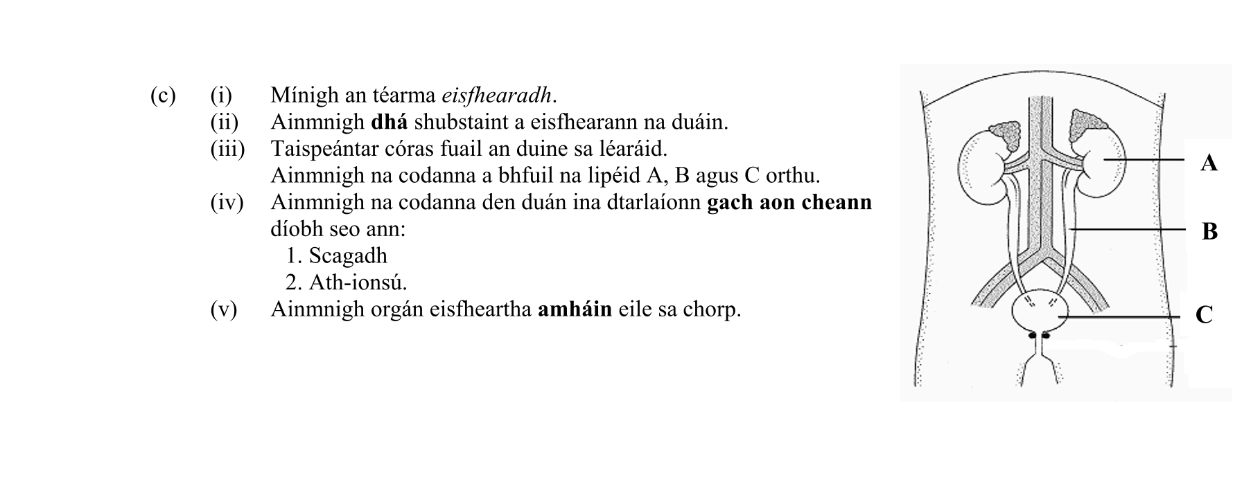 Question cff08349-4bd8-426e-9740-c09985ae20d9