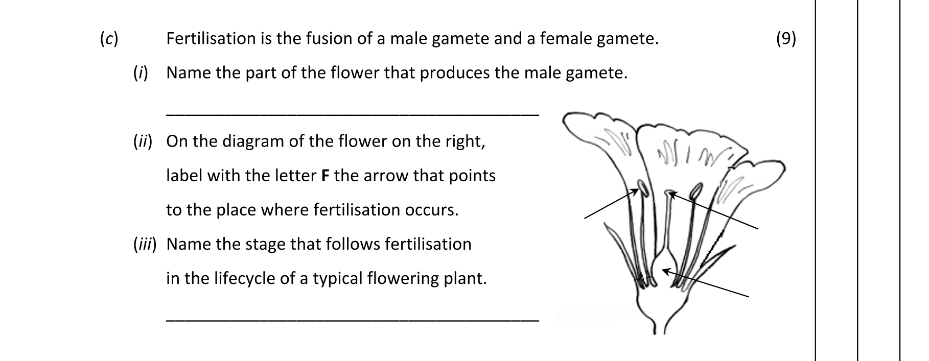 Question f8da6b2e-b8b1-4721-a755-ea312fdbdaaa
