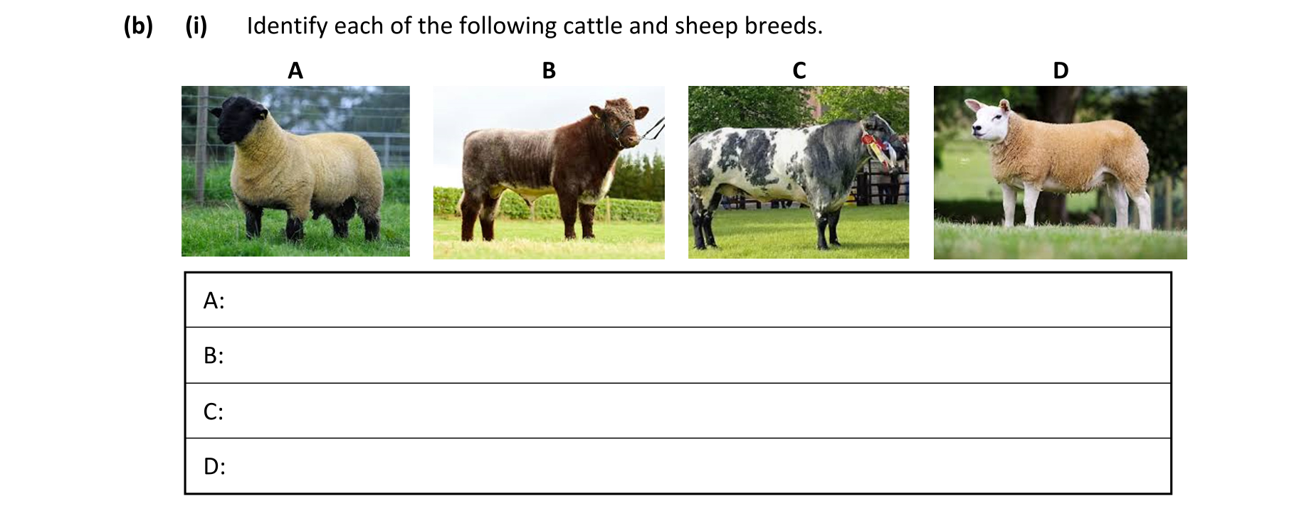 Question dd78f939-ad1b-4511-982b-59dcaa0edfa8