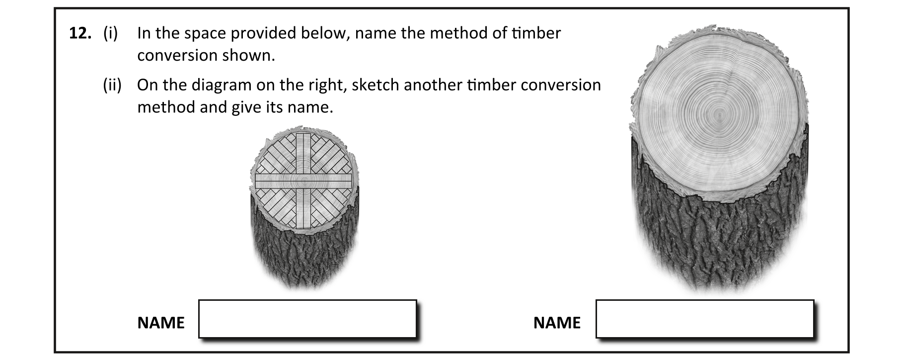 Question 5d9f9d42-349a-48f7-81a9-081b8778a379