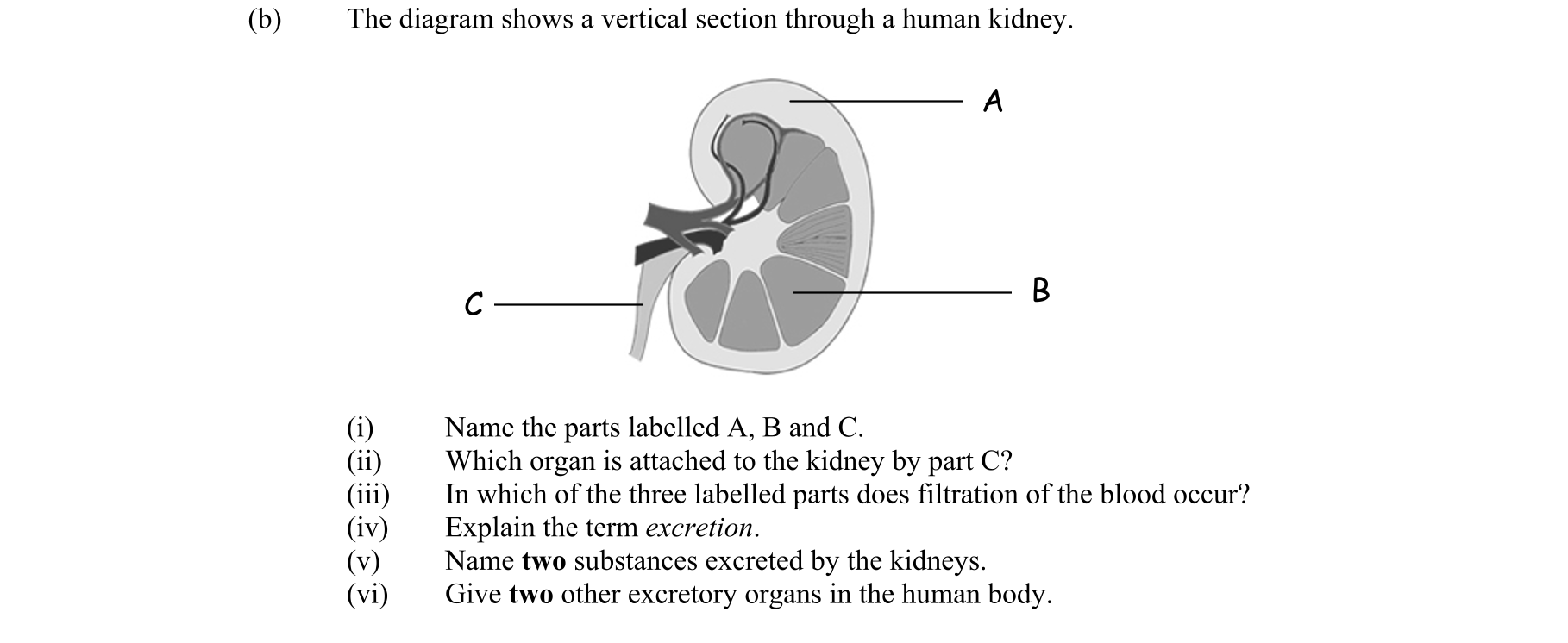 Question 1e668670-4b68-4751-88d6-71a43c714f6a