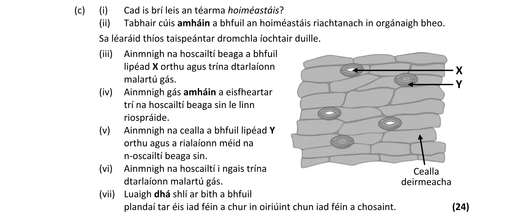 Question 2139681c-de84-4a39-9ff7-40ca7c51c82a