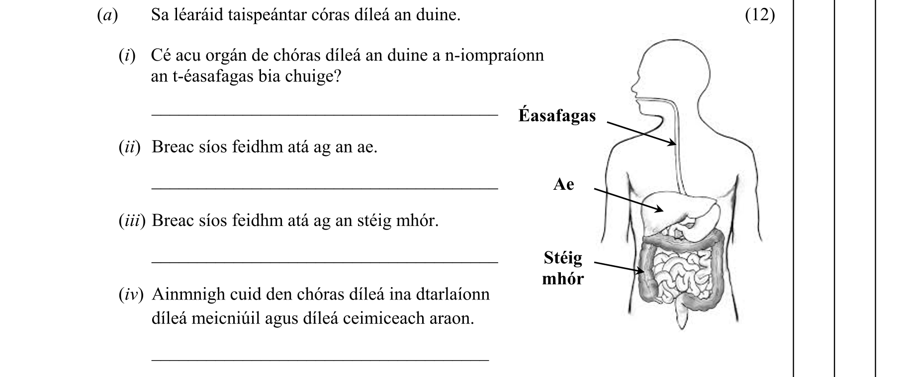 Question 772f4aa8-1531-44a8-a7c5-22bc9c7384b0