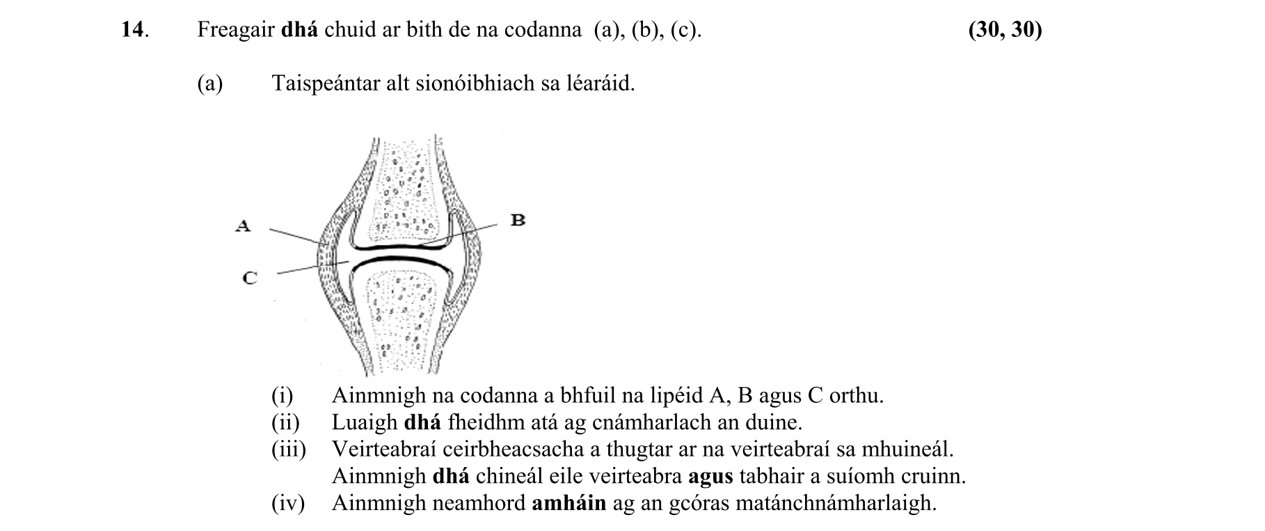 Question b8e57ca2-ee3c-43c6-9e26-38909c33feaf