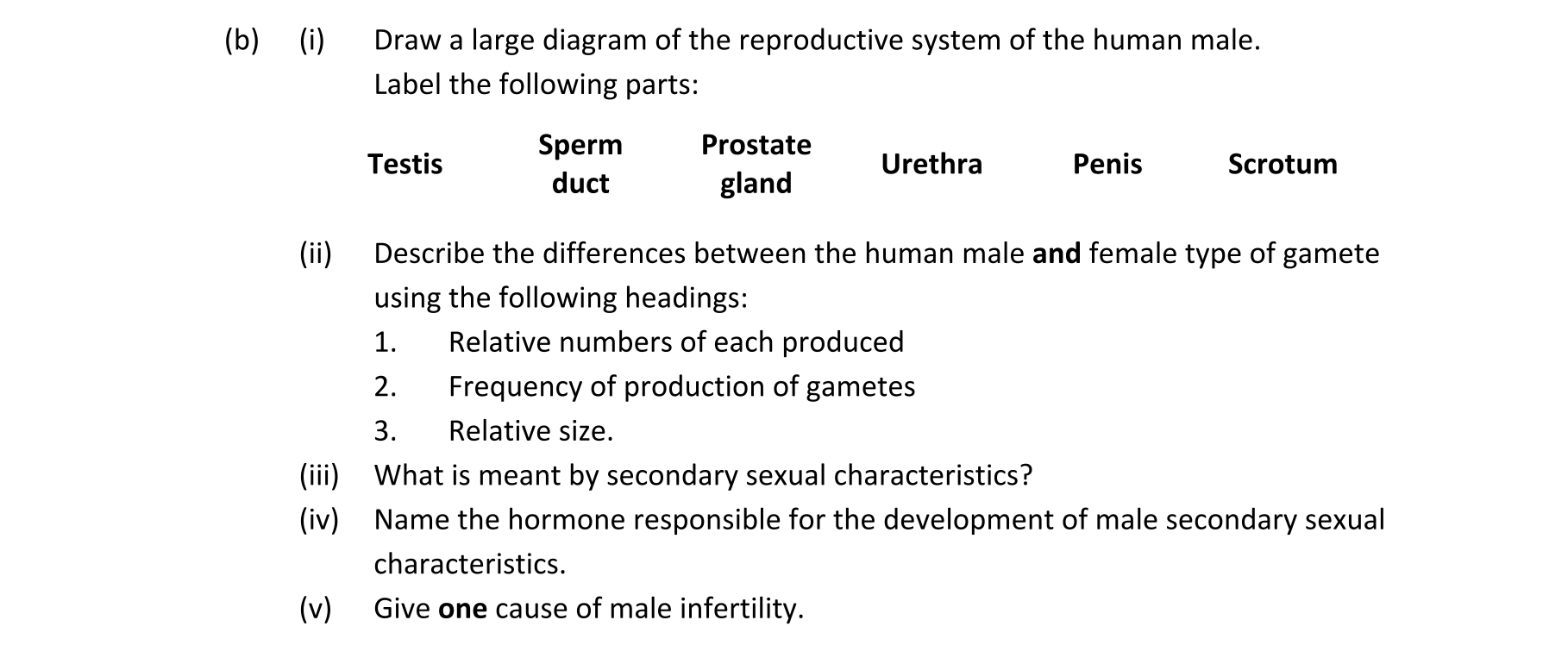 Question f06c872a-ccba-42bc-bf62-e39e07d80020