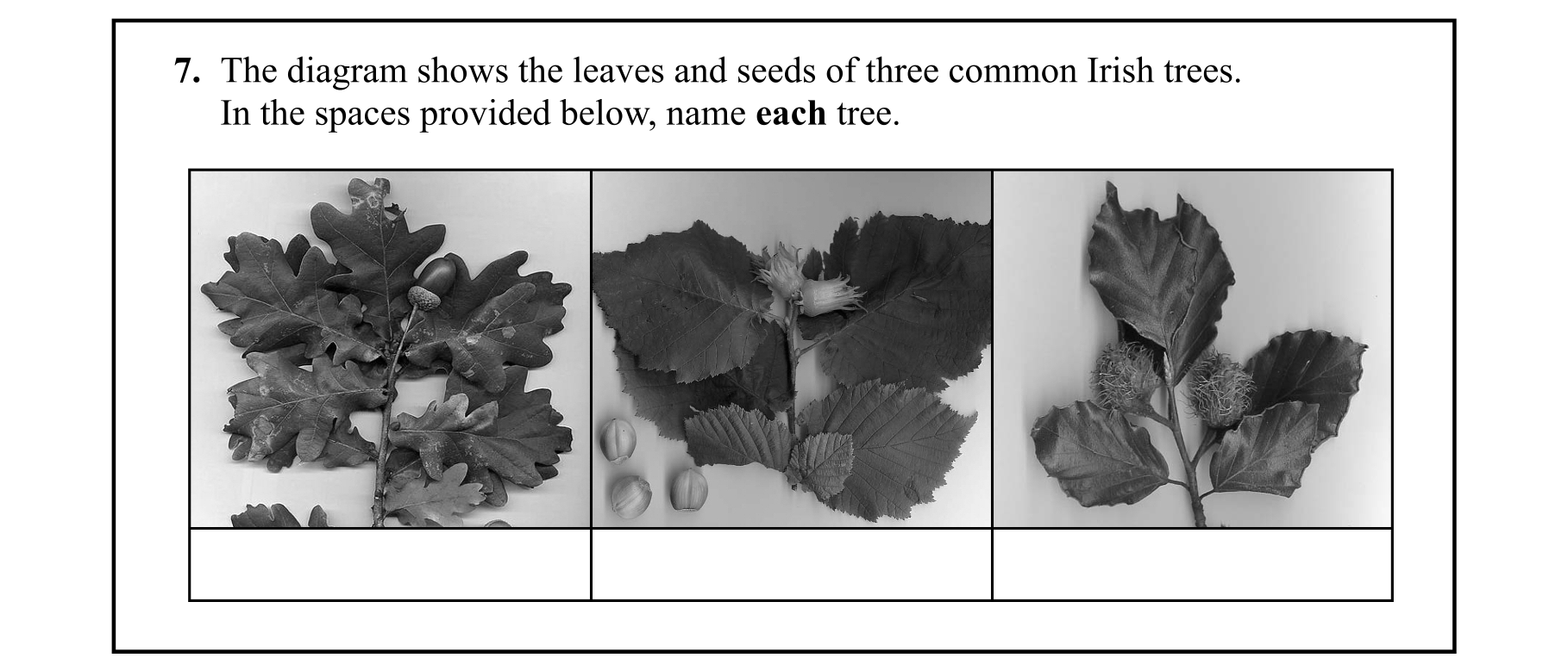 Question bba26c0c-4b2e-43d3-9721-8118f21ae9e4