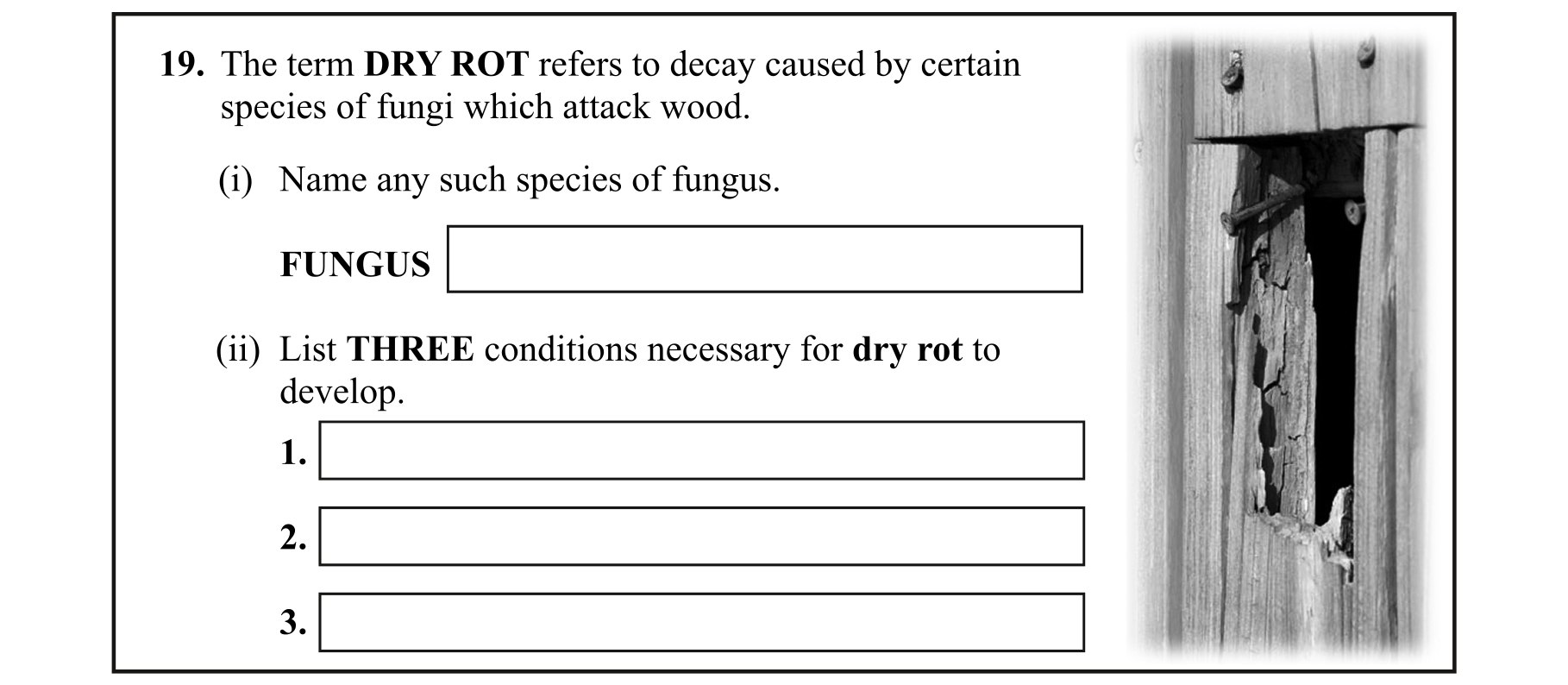 Question c161ef81-b640-4f7e-80a6-7cfe20aba1f9