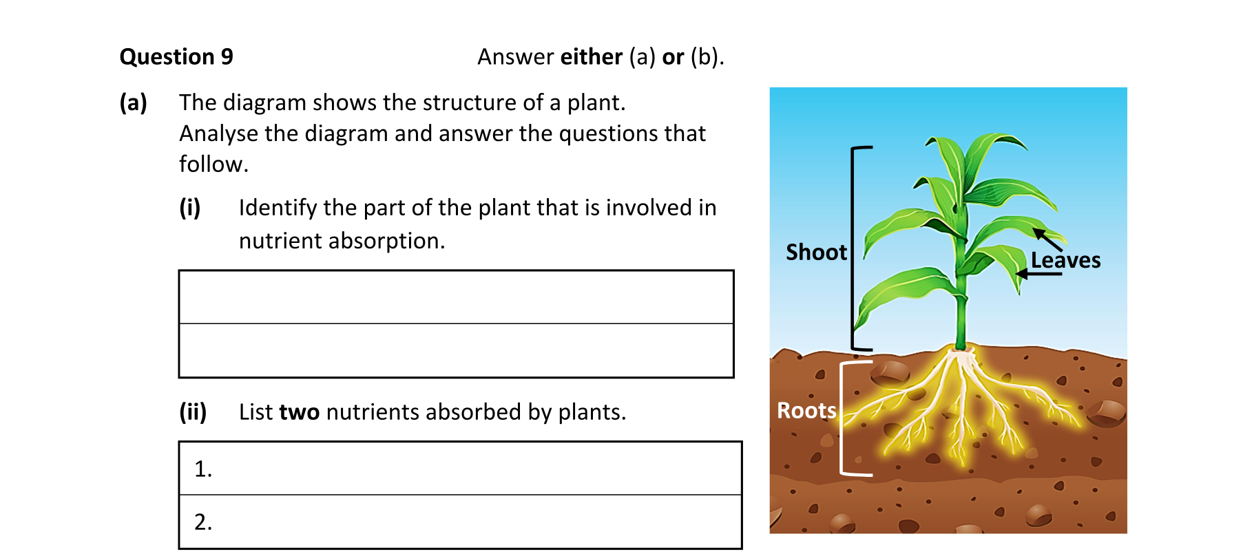 Question d9c43185-23ec-476e-a6bd-559143923a16