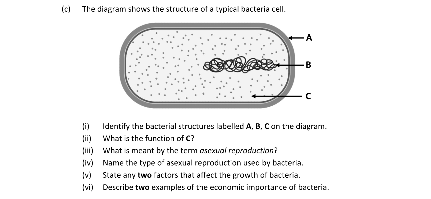 Question 46ff0f37-679c-463b-a251-dfce014bac4b