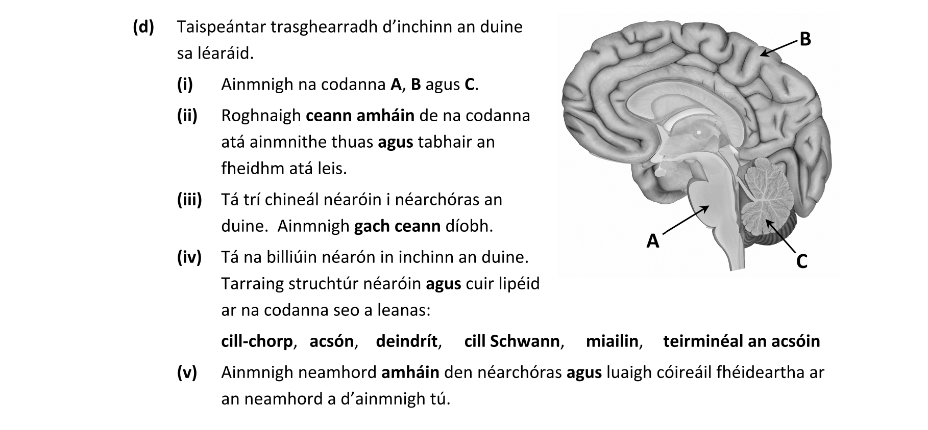 Question f5ae72d2-c127-4270-b9e9-9978dddfc9e4