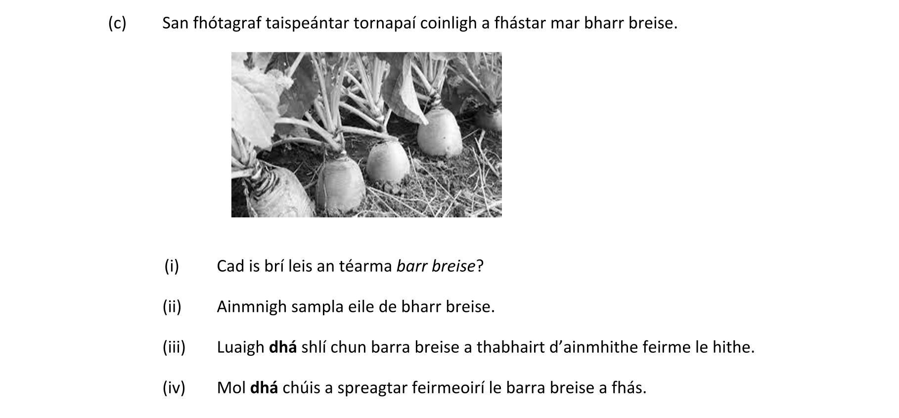 Question d501a2bc-9e37-40b0-94a6-c40b4f4ccb31