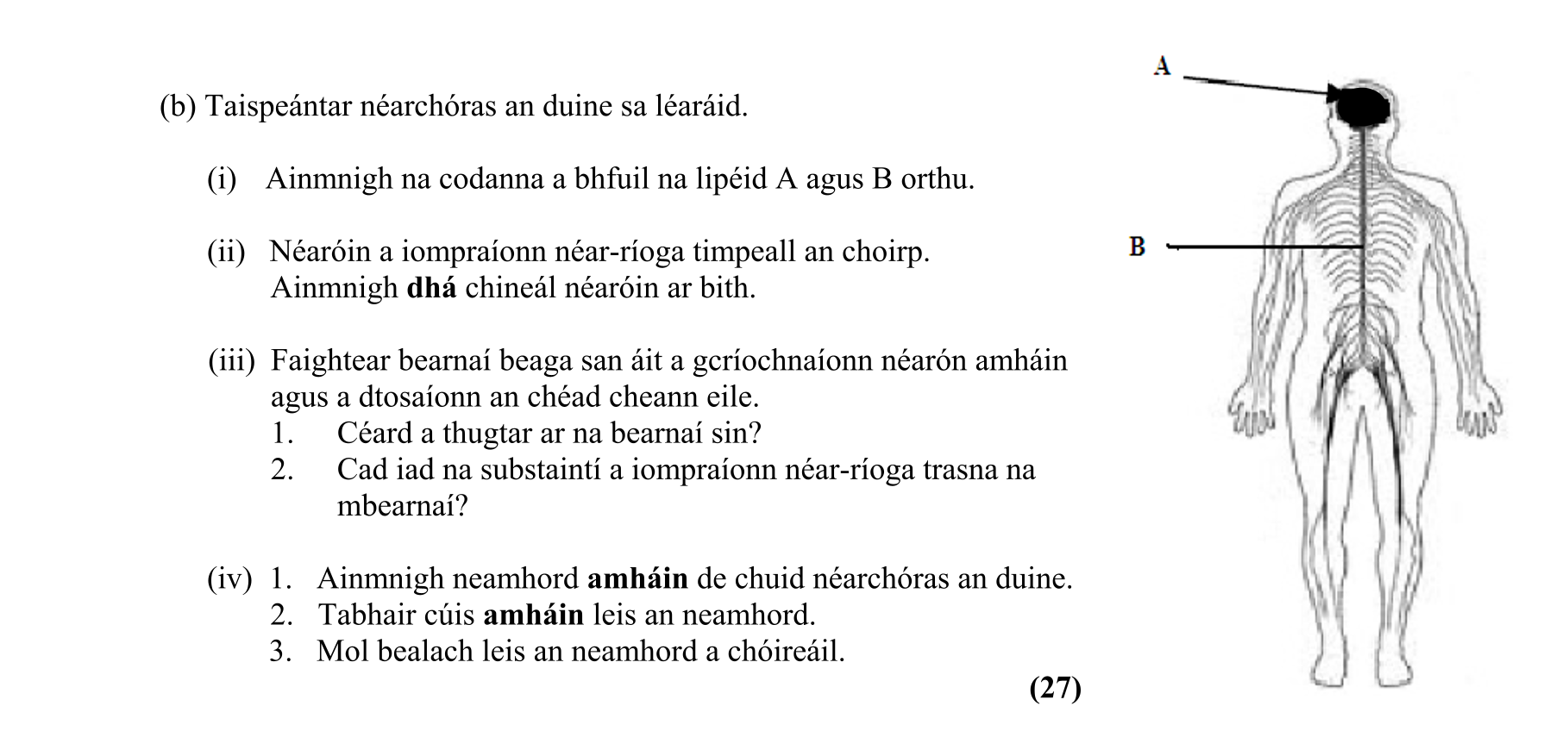 Question 2897db78-c497-4980-827e-45c3e59f24dd