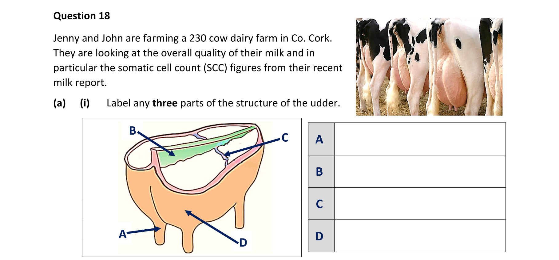 Question e89d79af-17ab-4bd2-a9ba-b0115bdae66c