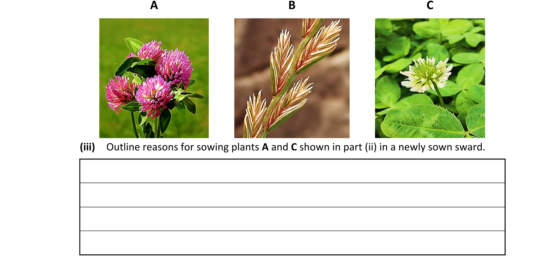 Question 36844d7e-b2c2-44f4-bda7-1bdfefc9d77a