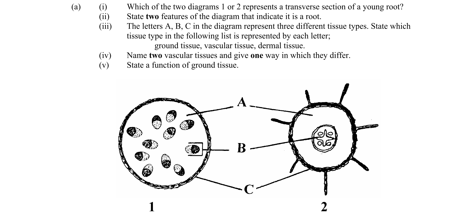 Question 4f510b69-55f9-4044-ad6e-270cdcce8cae
