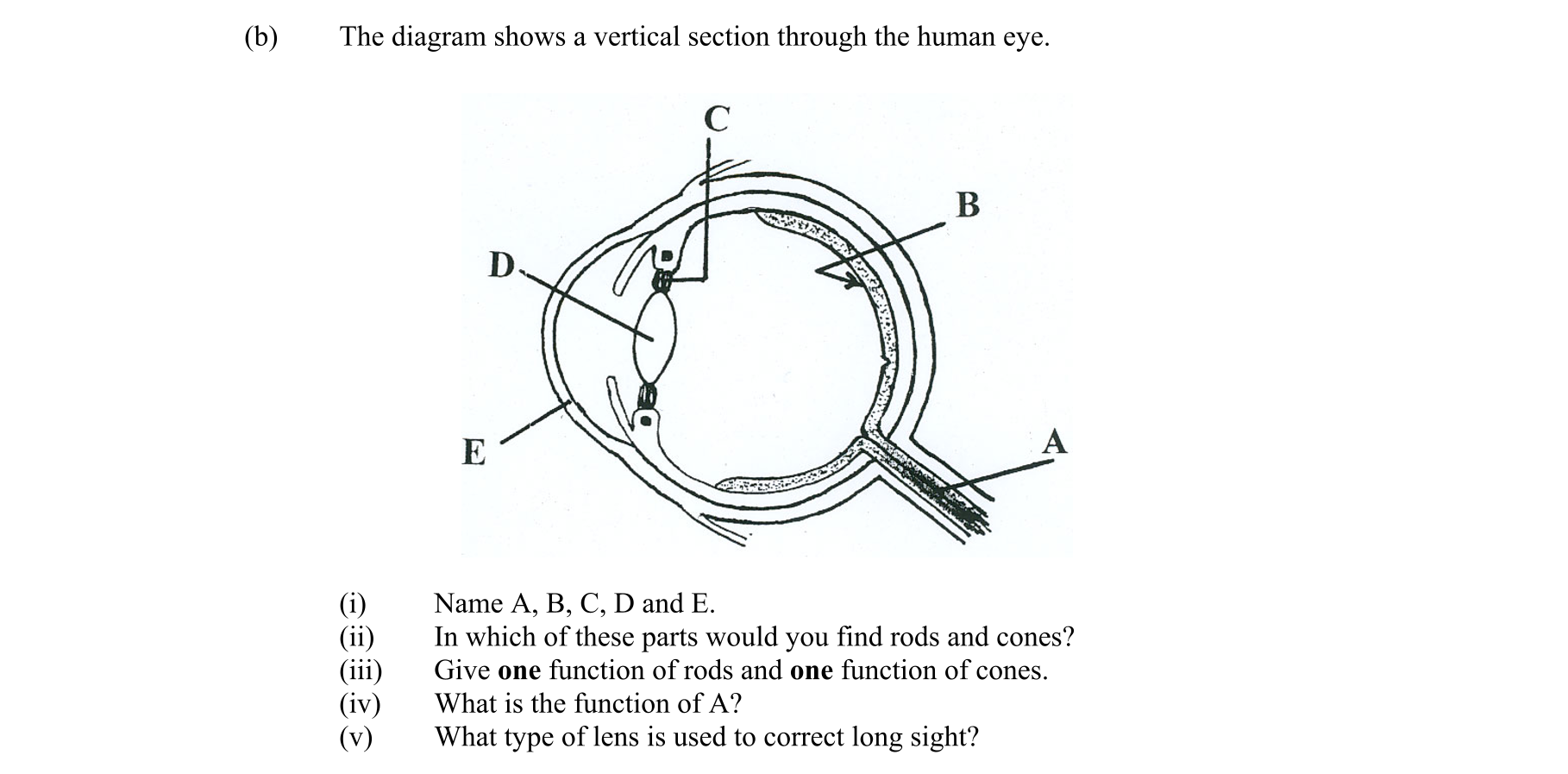 Question df342065-b447-4d9e-a7ed-4f4937cee373