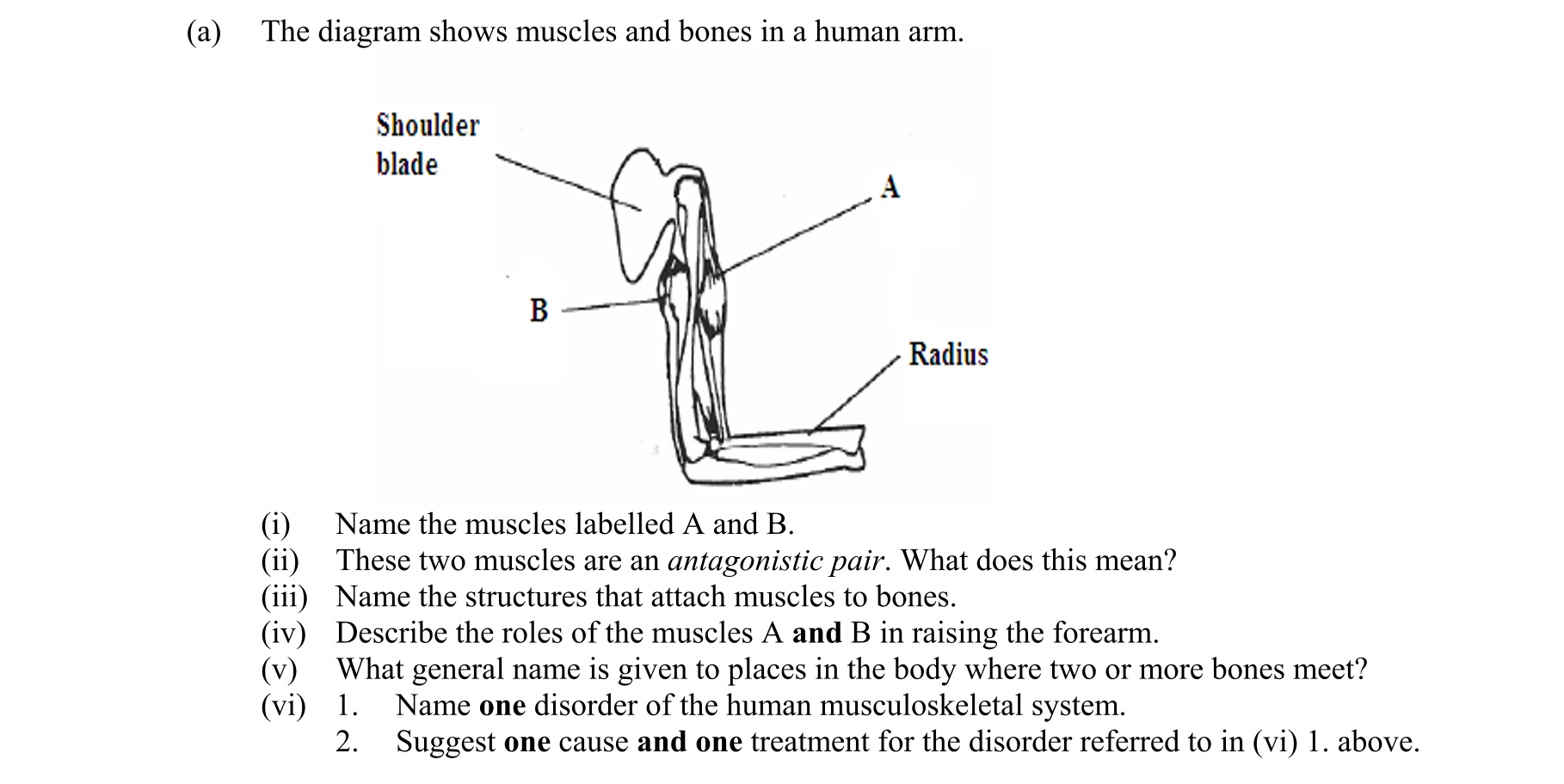 Question 08963220-7ed8-4207-a764-4562164500ae