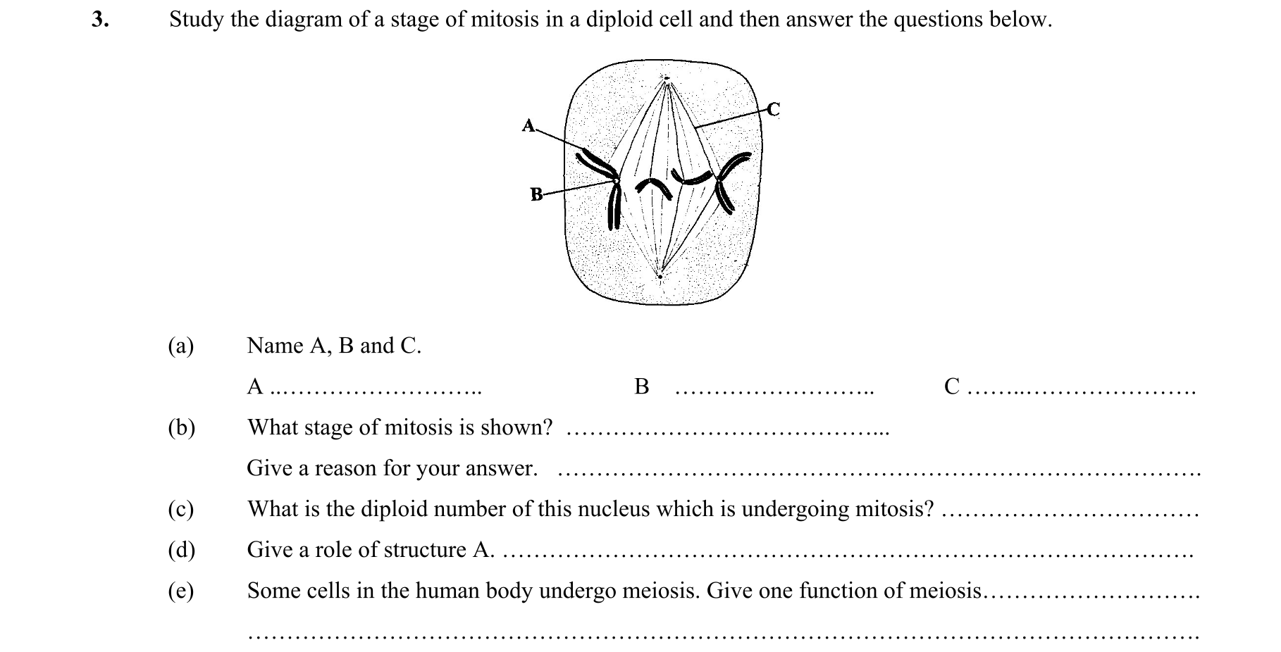 Question ee7100e1-a3ff-4c0d-92a4-b2d7b4d086e0