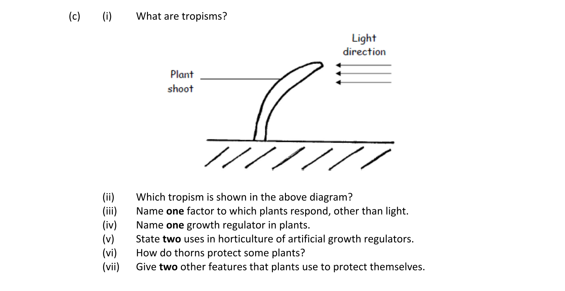 Question 02497730-fe86-4ab5-87ae-7c0d34cb4f8e