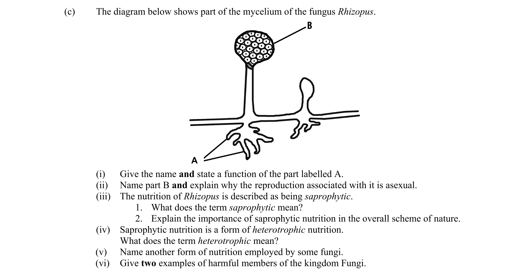 Question 14eb46de-12b1-4066-b992-b4823a0399cf
