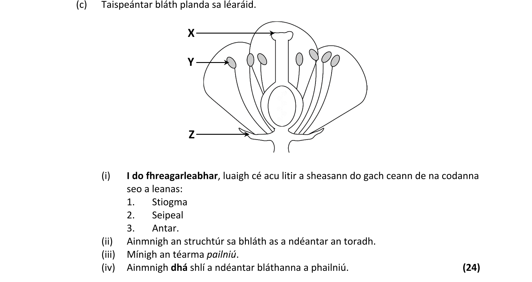 Question 912396ac-4133-439f-9072-966f77555ed9